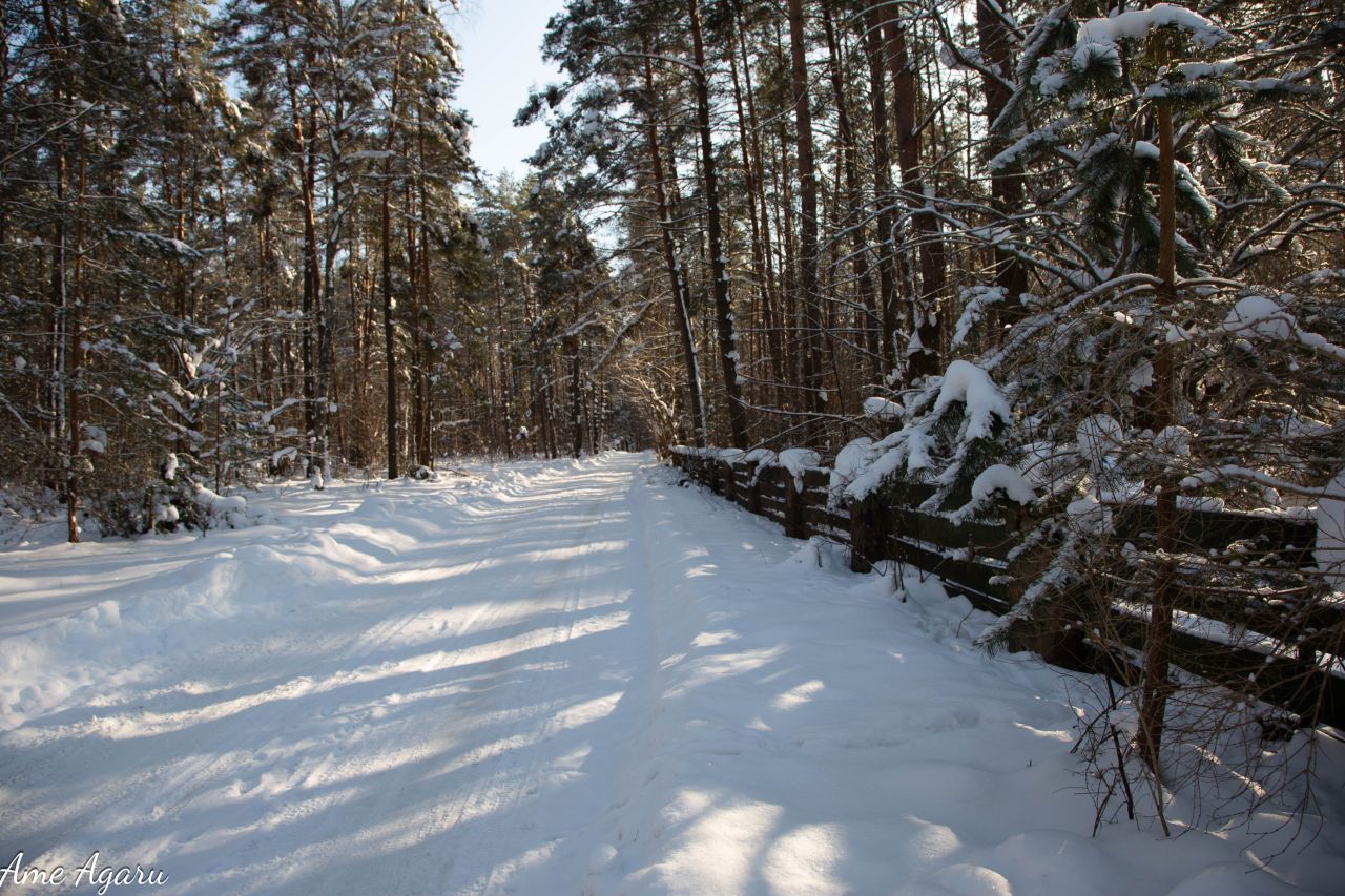 Działka budowlana Marózek. Zdjęcie 15