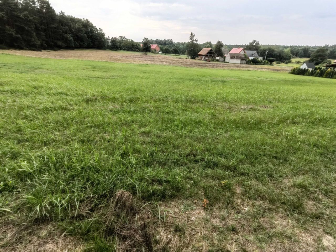 Działka budowlana Mikorzyce. Zdjęcie 3