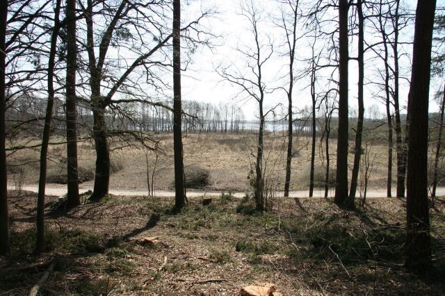 Działka siedliskowa Iznota. Zdjęcie 1