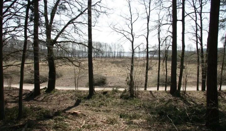 Działka siedliskowa Iznota