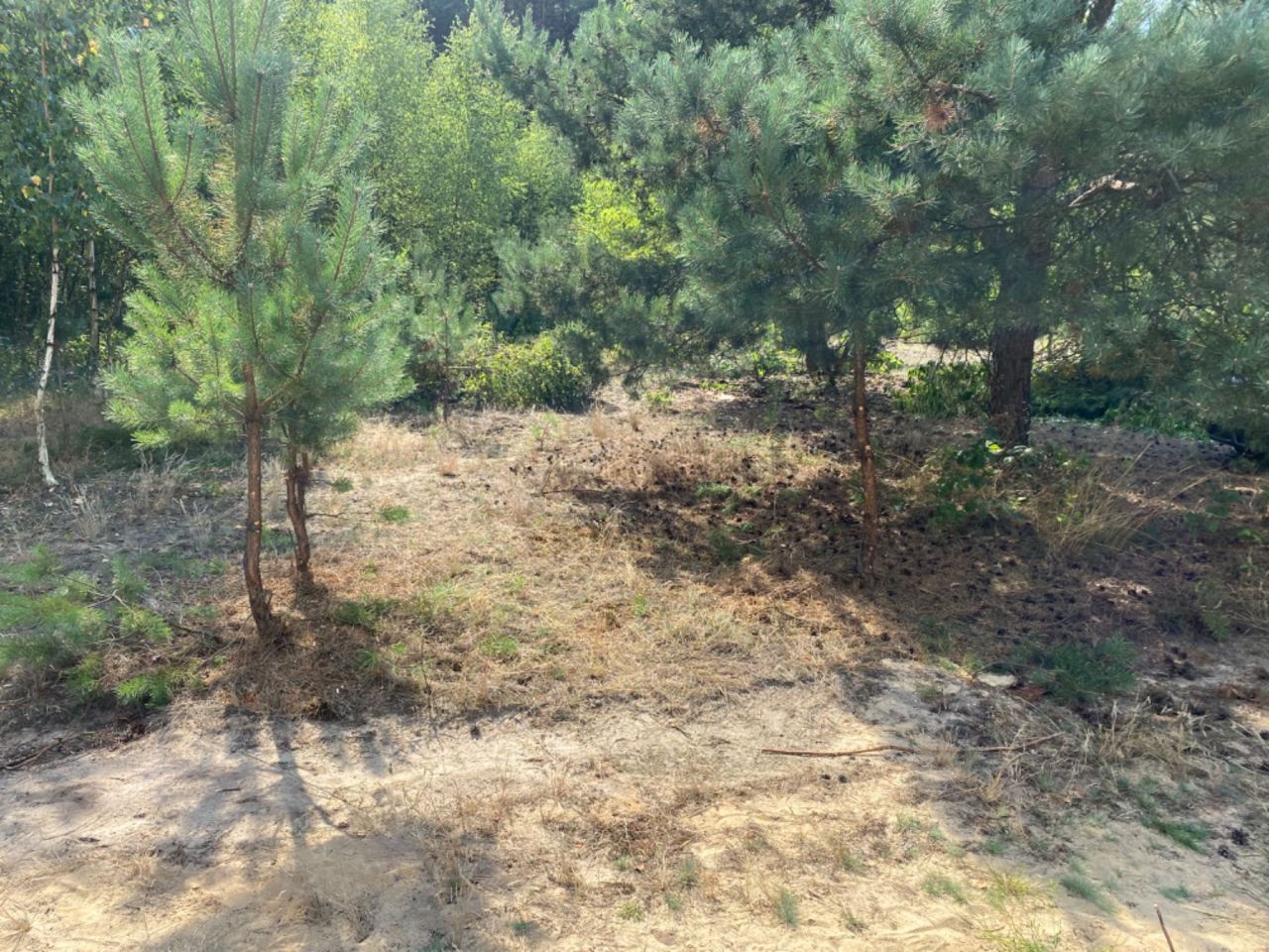 Działka budowlana Poręby. Zdjęcie 3