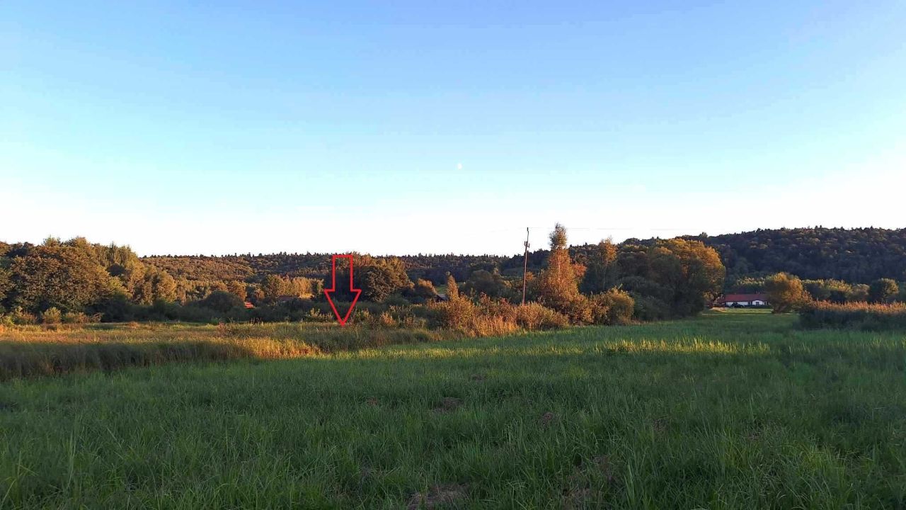 Działka rolno-budowlana Bondyrz. Zdjęcie 7