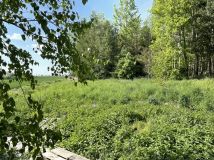 Działka budowlana Krzyworzeka. Zdjęcie 4