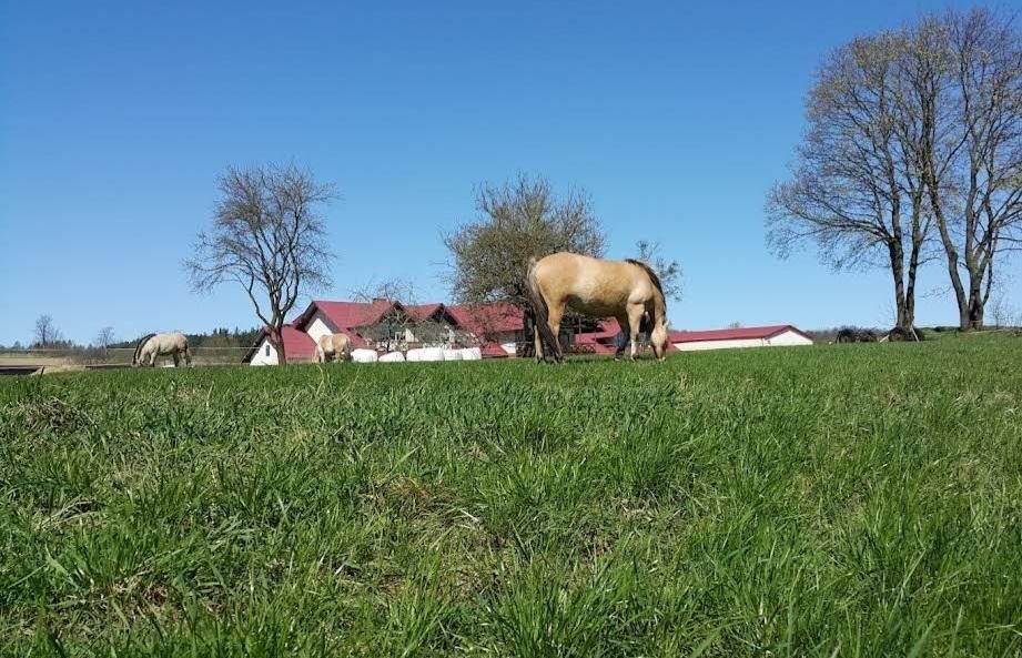 Działka budowlana Gołubie, ul. Jarzębinowa. Zdjęcie 10