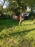 Działka rod Łódź Śródmieście, ul. Drewnowska. Zdjęcie 4