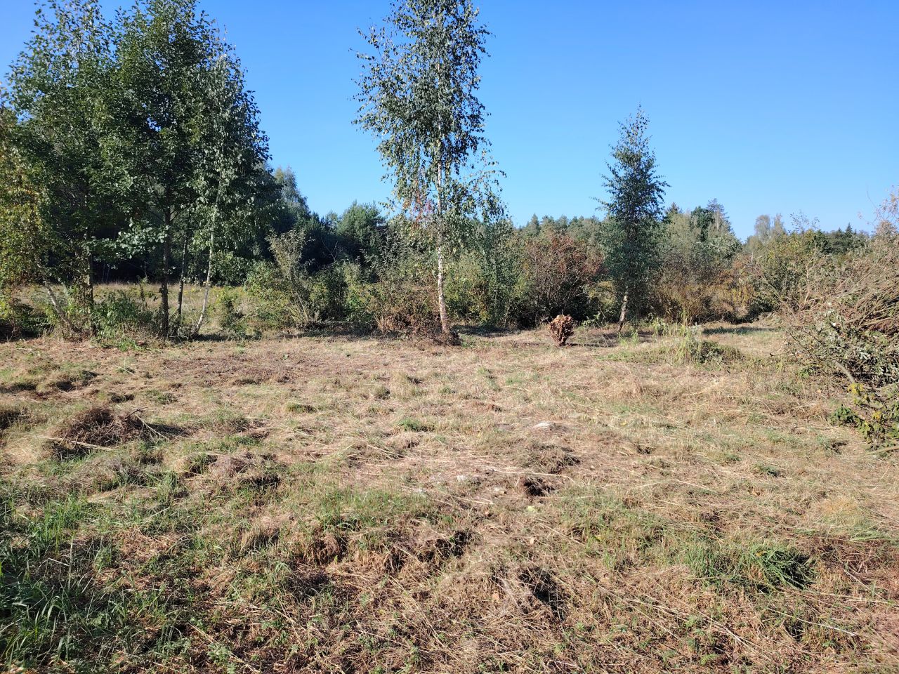 Działka budowlana Ignatki, ul. Spokojna