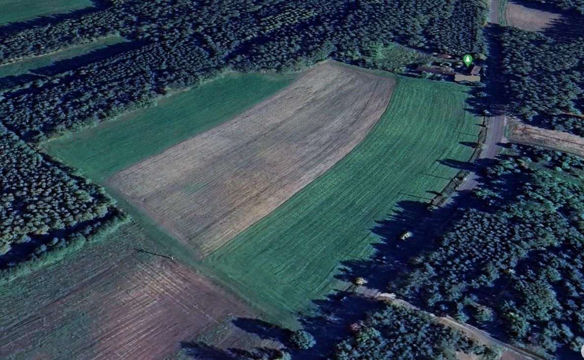 Działka rolno-budowlana Zamęty. Zdjęcie 13