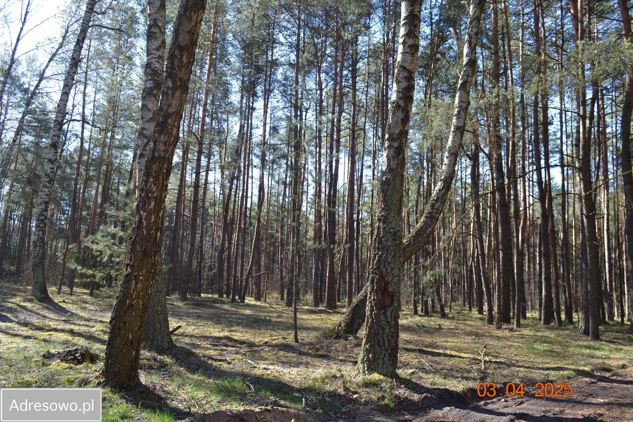 Działka budowlana Osęczyzna. Zdjęcie 7