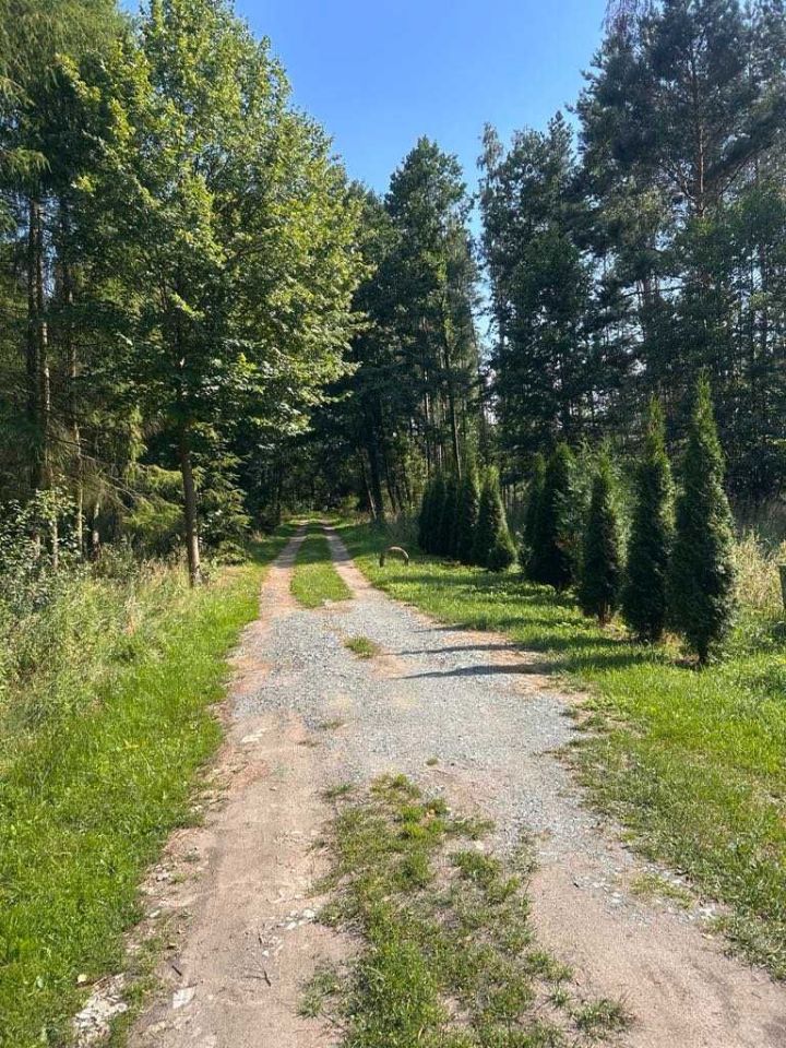 Działka siedliskowa Świątki. Zdjęcie 3