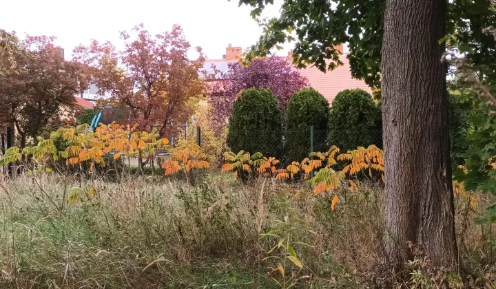 Działka budowlana Warszawa Rembertów, ul. Księcia Witolda