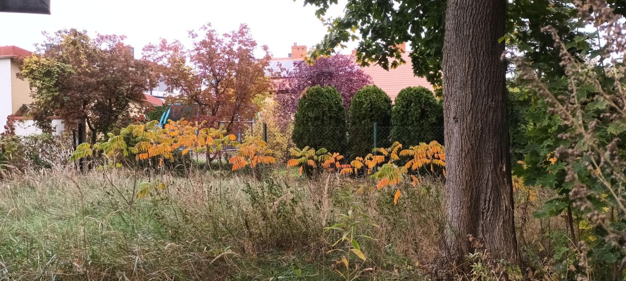 Działka budowlana Warszawa Rembertów, ul. Księcia Witolda