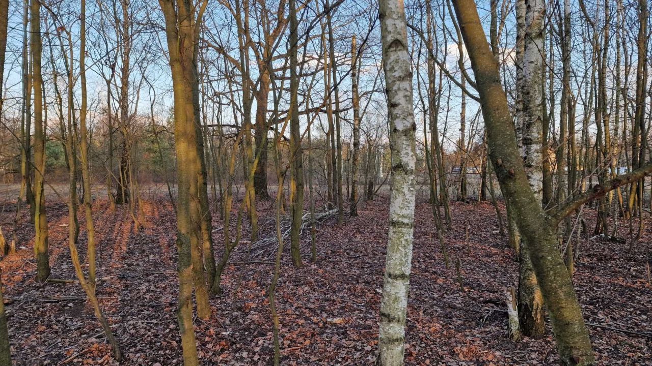 Działka budowlana Milanówek. Zdjęcie 4