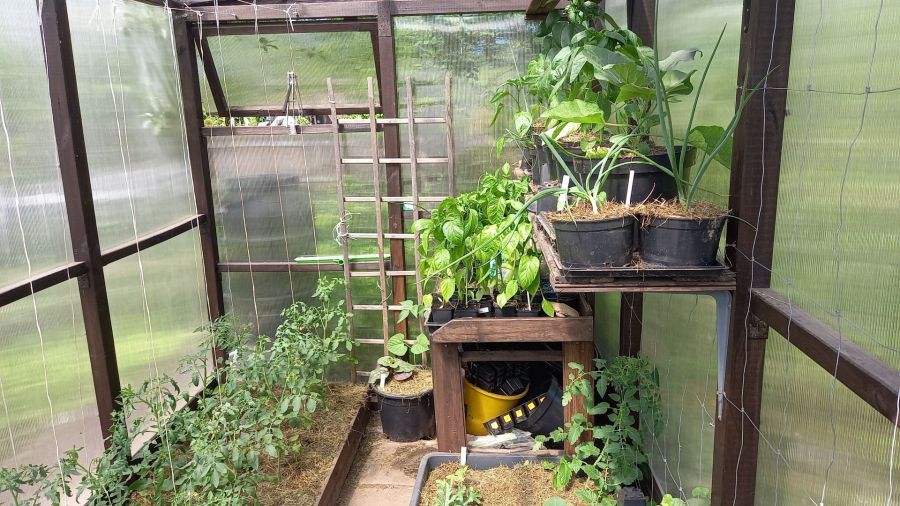 Działka rod Pruszcz Gdański, ul. Podmiejska. Zdjęcie 4