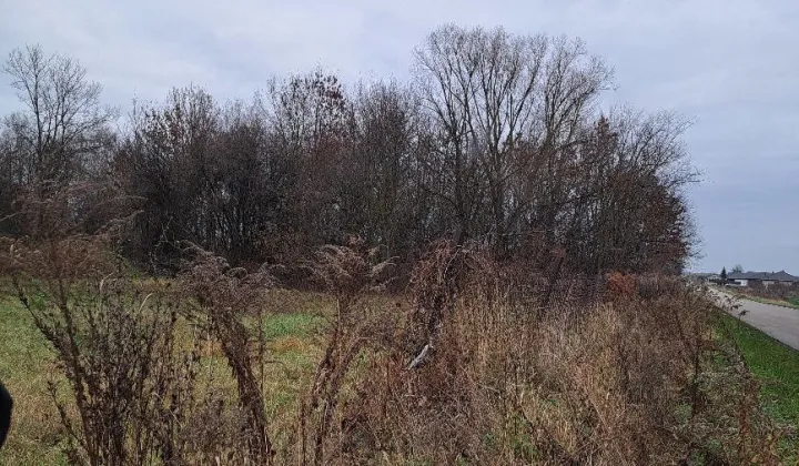 Działka budowlana Zakrze