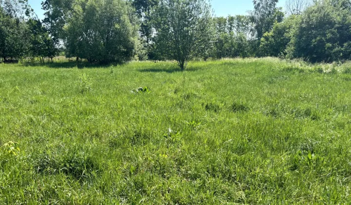 Działka rolno-budowlana Barcice Drwalewskie