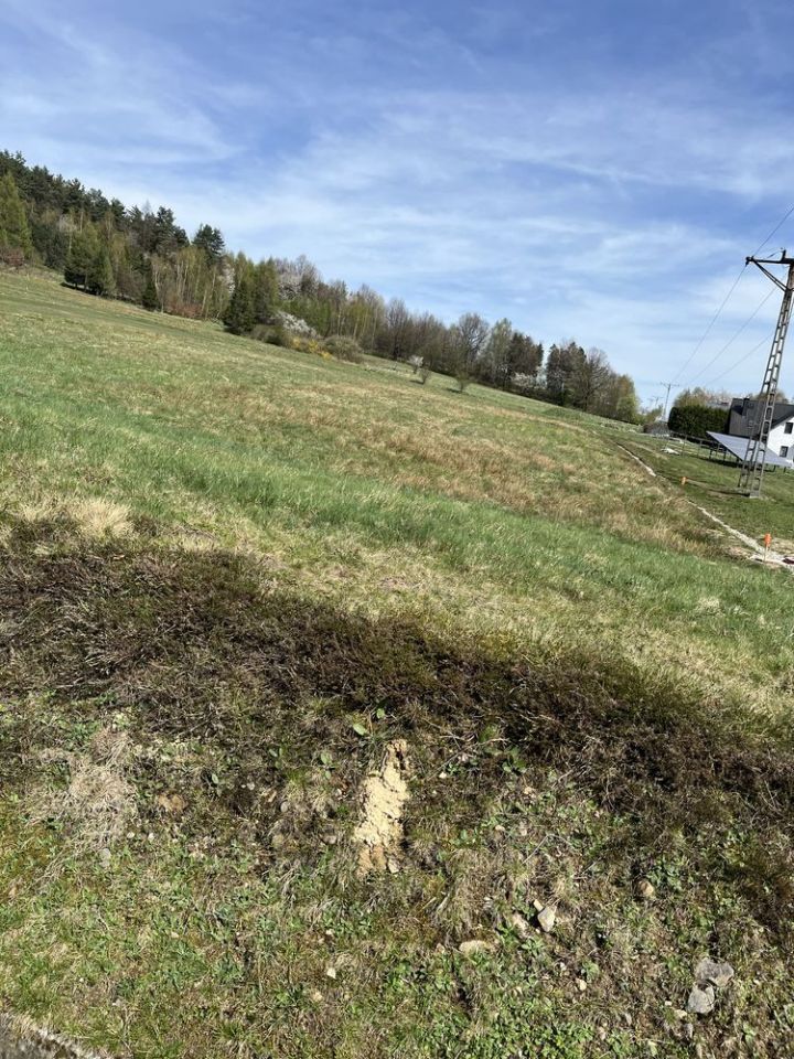 Działka budowlana Kocoń Przydawki, ul. Krótka. Zdjęcie 6