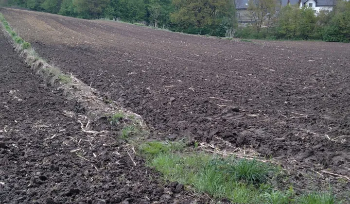 Działka rolno-budowlana Łuczyce, ul. Pod Lasem