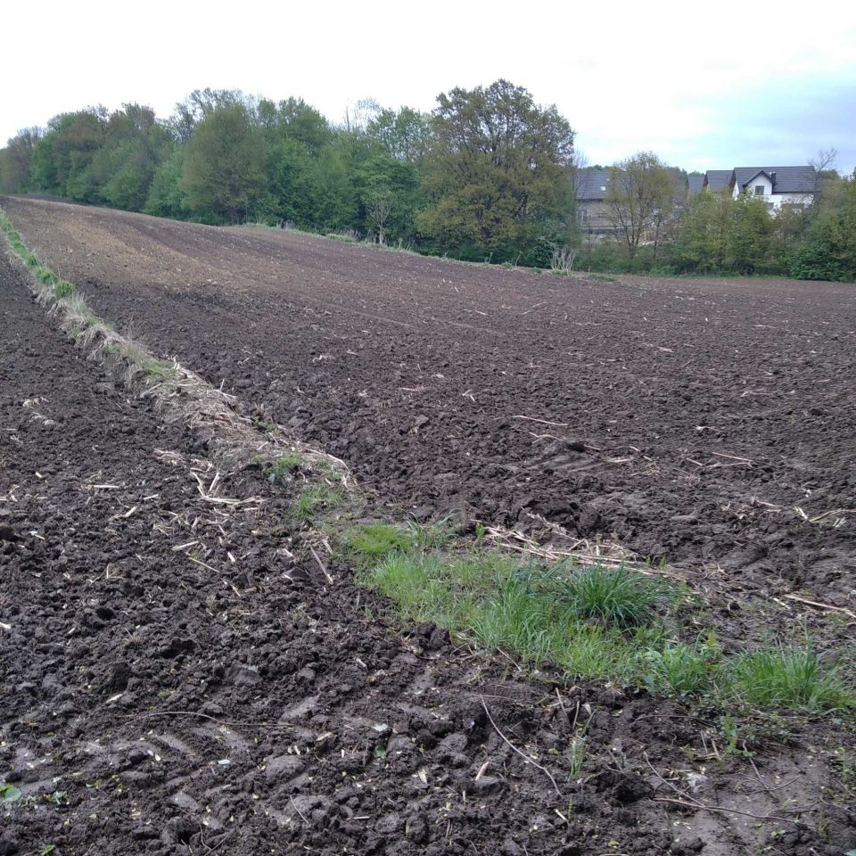 Działka rolno-budowlana Łuczyce, ul. Pod Lasem