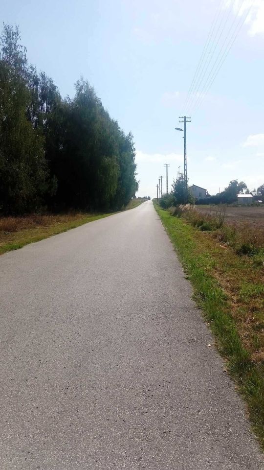 Działka rolna Chojno Nowe Pierwsze. Zdjęcie 2