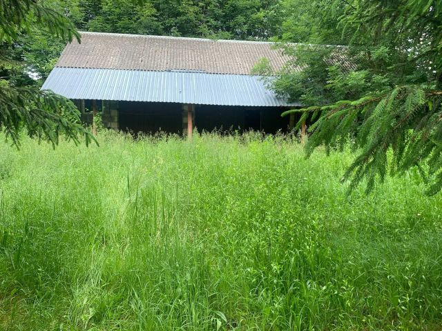 Działka siedliskowa Guzówka. Zdjęcie 1