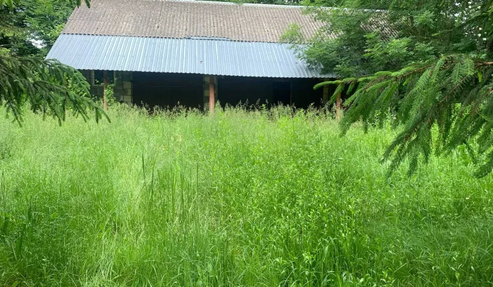 Działka siedliskowa Guzówka