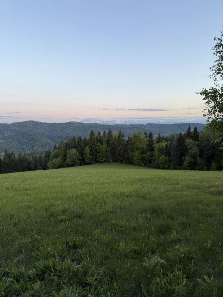 Działka rolna Ochotnica Górna. Zdjęcie 6