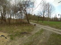 Działka rolno-budowlana Hrebenne. Zdjęcie 3