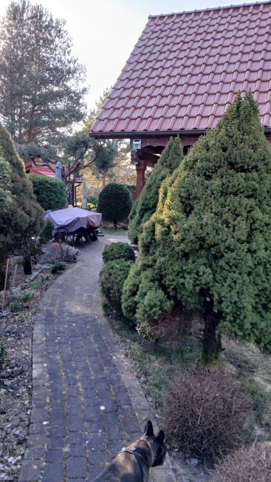 Działka rekreacyjna Kamionki Małe, Kajakowa. Zdjęcie 11