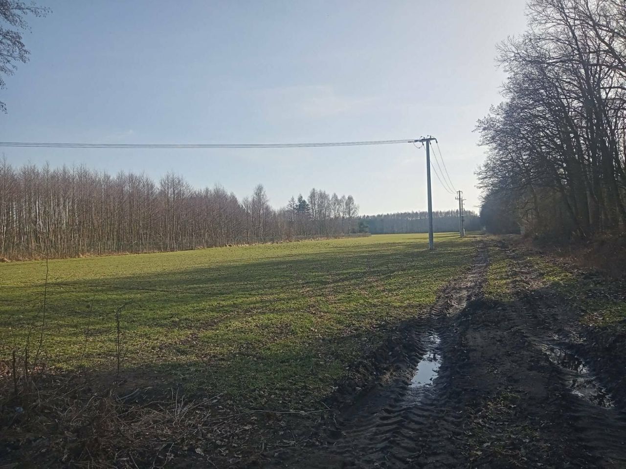 Działka inwestycyjna Bolewice. Zdjęcie 2