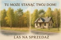 Działka leśna Piasecznik. Zdjęcie 1