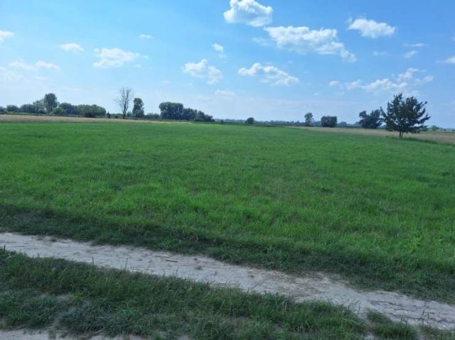 Działka rolna Dziecinów. Zdjęcie 1