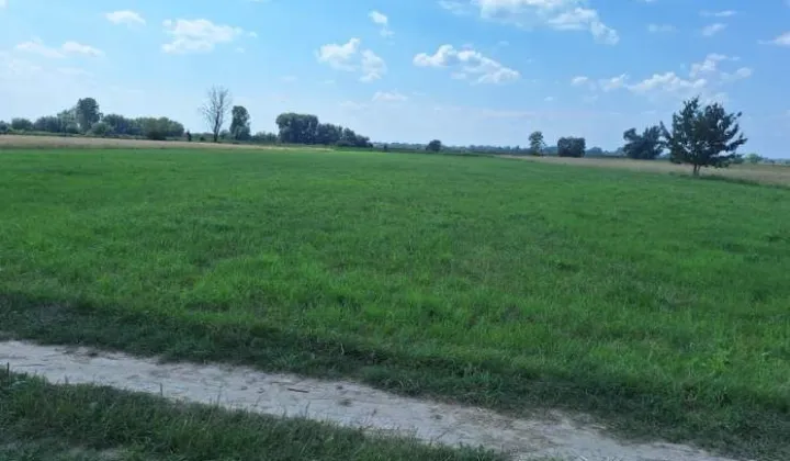 Działka rolna Dziecinów