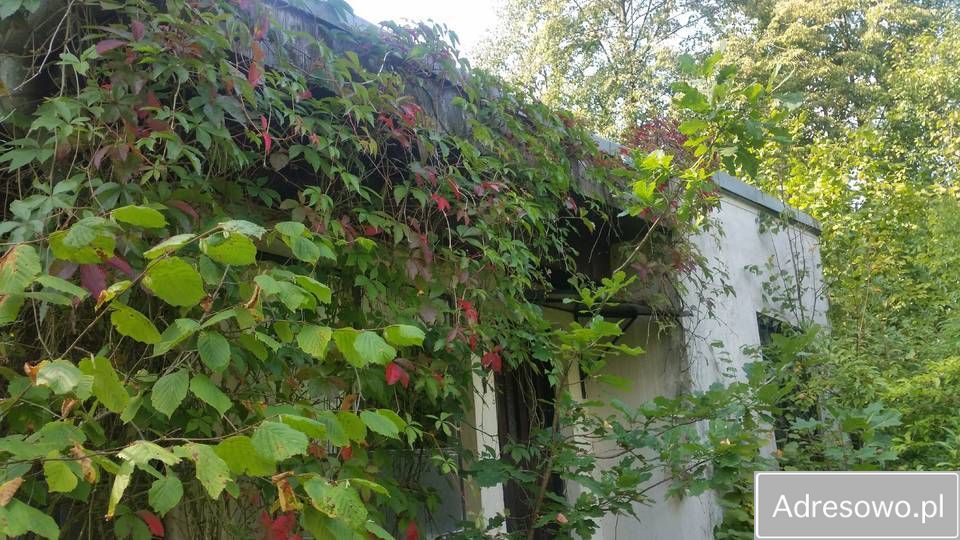 Działka rolna Swędów. Zdjęcie 3