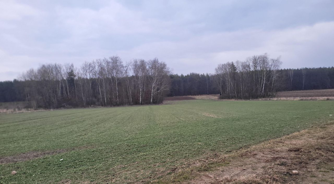 Działka rolno-budowlana Petrykozy, ul. Pogodna. Zdjęcie 2