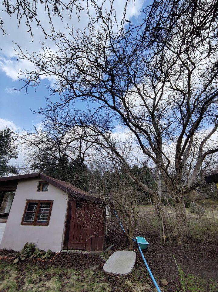 Działka rod Warszawa Czerniaków, ul. Melomanów. Zdjęcie 6