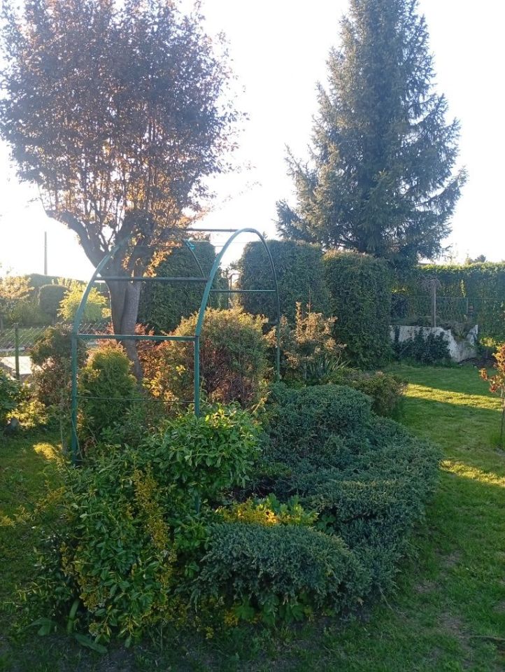 Działka rod Bytom. Zdjęcie 4