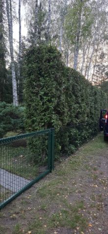 Działka rod Grochowa, ul. Zbigniewa Pawlaka. Zdjęcie 18