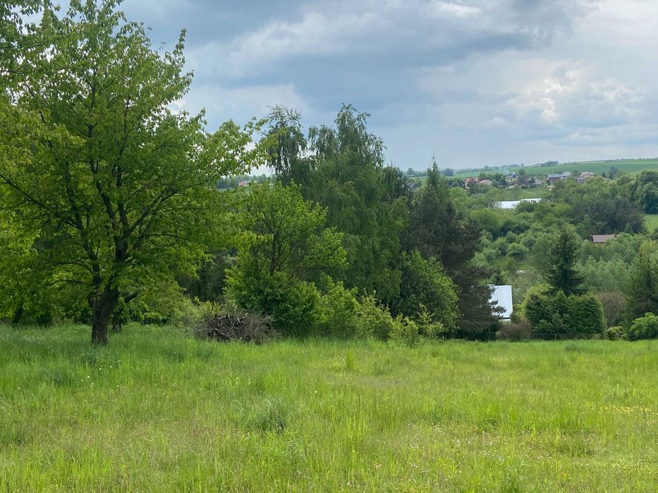 Działka rolno-budowlana Minoga. Zdjęcie 5