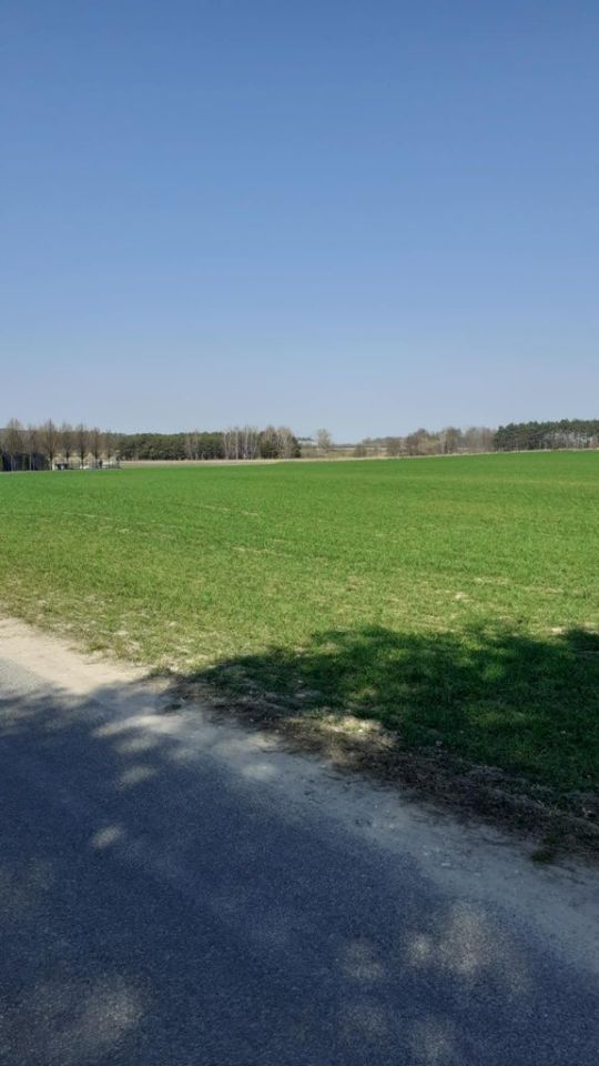 Działka rolno-budowlana Połajewek. Zdjęcie 3