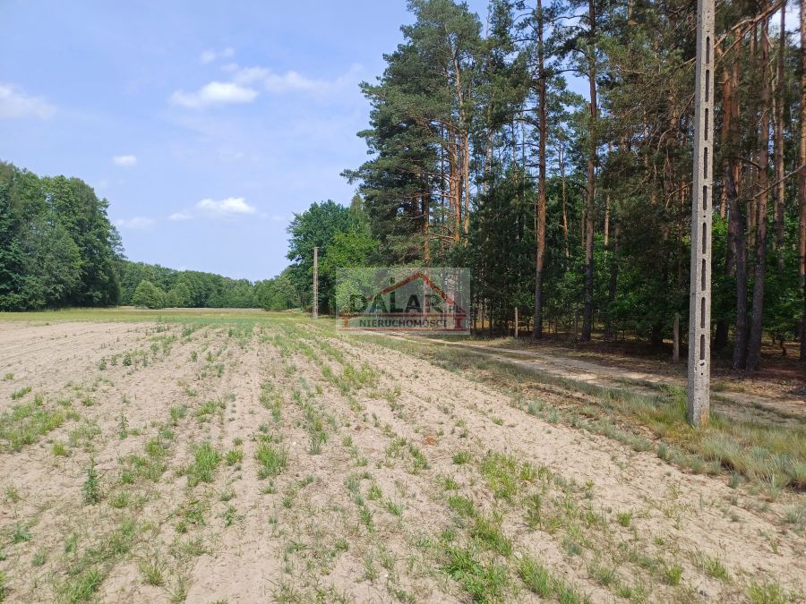 Działka budowlana Wola Pieczyska. Zdjęcie 3