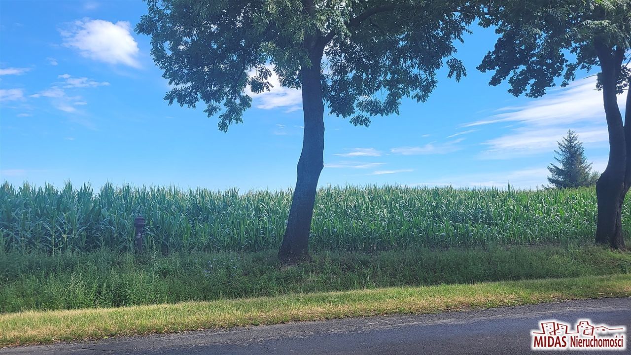 Działka budowlana Dobrzyń nad Wisłą. Zdjęcie 9