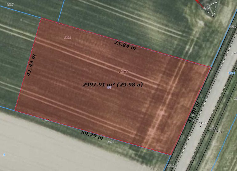 Działka rolno-budowlana Jaźwina. Zdjęcie 3