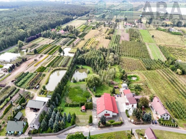 Hala/magazyn Zofia. Zdjęcie 20