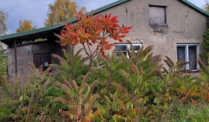 Działka rolno-budowlana Godziszewy