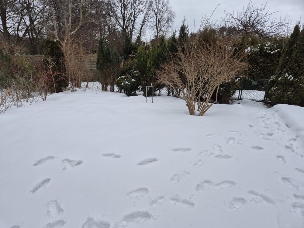 Działka rod Ustka, ul. Polna. Zdjęcie 2