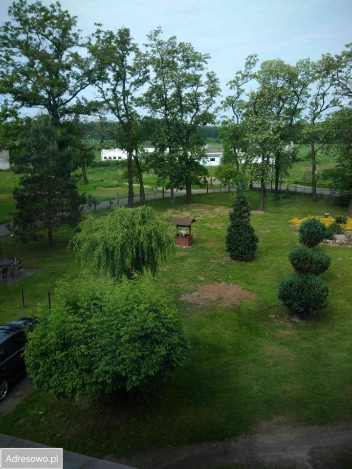 kamienica, 5 pokoi Pszczonki. Zdjęcie 13