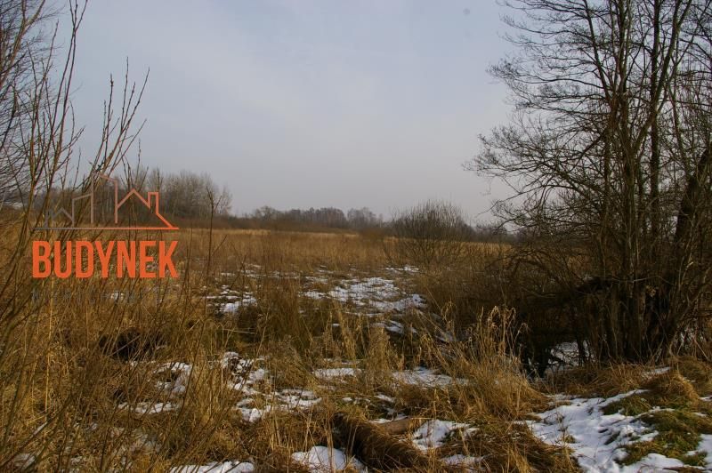 Działka rolna Malechowo. Zdjęcie 13