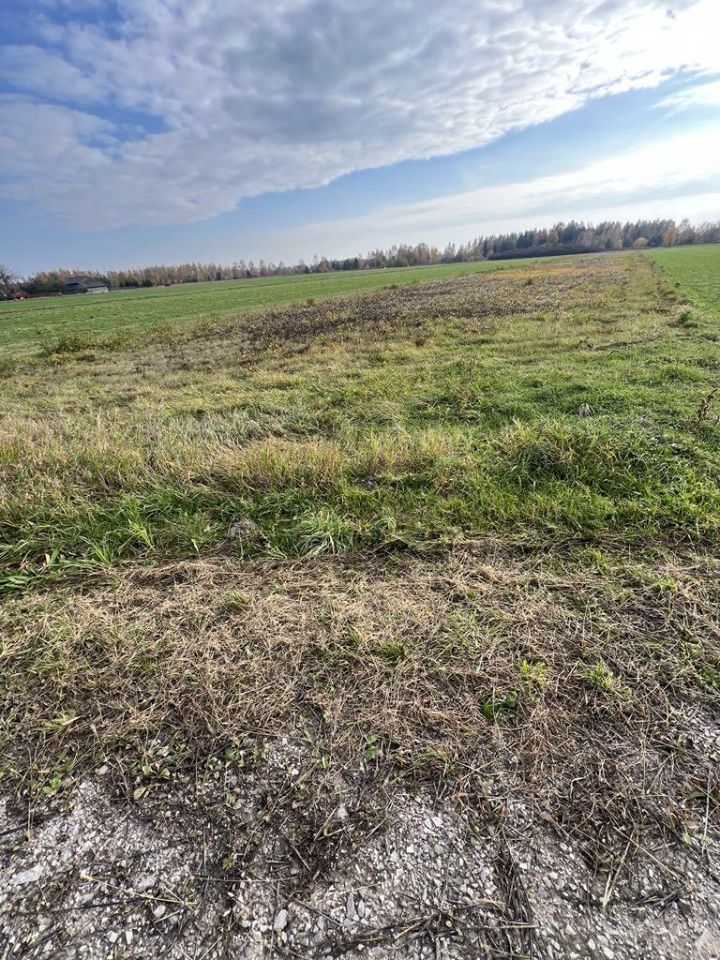 Działka rolno-budowlana Cybulice Duże, ul. Spacerowa