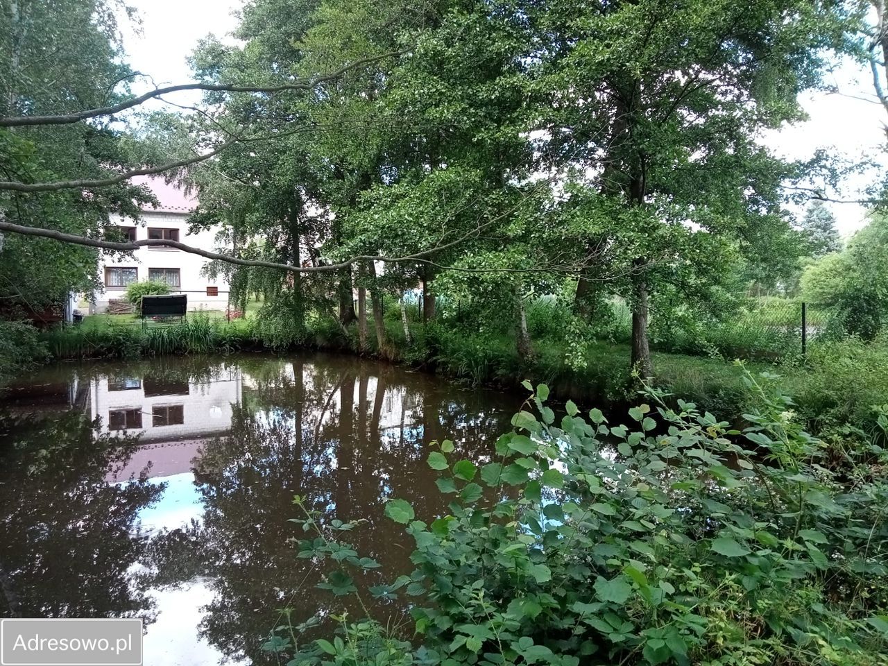 dom wolnostojący, 8 pokoi Brody, ul. Szkolna. Zdjęcie 3