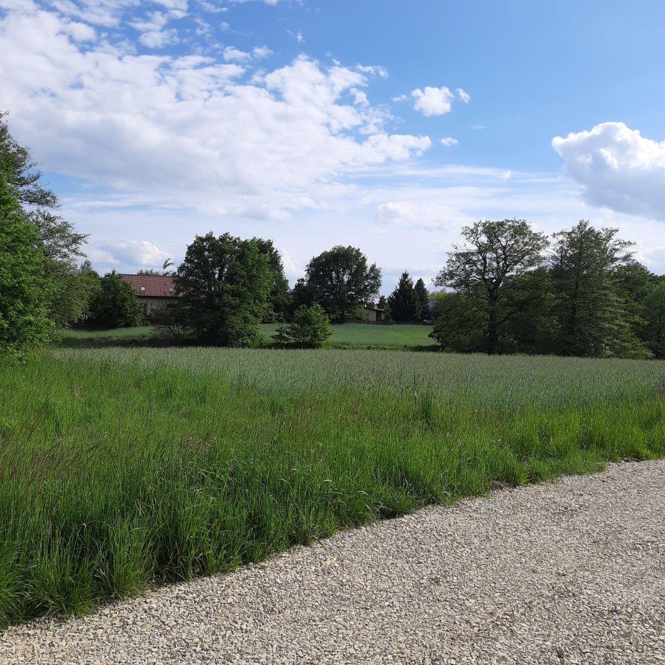 dom wolnostojący, 5 pokoi Mysłowice Wesoła, ul. Ogrodowa. Zdjęcie 2